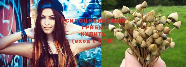 стаф Абдулино