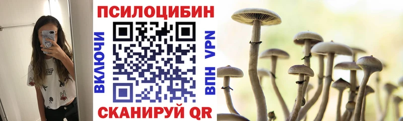 Псилоцибиновые грибы мицелий  где найти наркотики  Чегем 